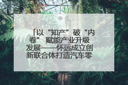 以“知产”破“内卷” 赋能产业升级发展——怀远成立创新联合体打造汽车零部件产业新高地
