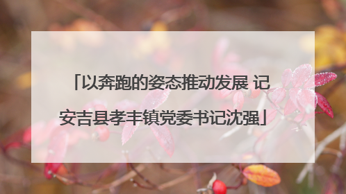 以奔跑的姿态推动发展 记安吉县孝丰镇党委书记沈强