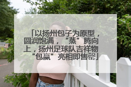 以扬州包子为原型，圆润饱满，“蒸”腾向上，扬州足球队吉祥物“包赢”亮相即售罄