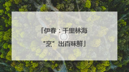 伊春：千里林海“烹”出百味鲜