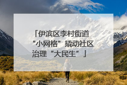 伊滨区李村街道 “小网格”撬动社区治理“大民生”