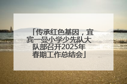 传承红色基因，宜宾一曼小学少先队大队部召开2025年春期工作总结会