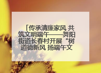 传承清廉家风 共筑文明端午——舞阳街道长春村开展“树道德新风 扬端午文化”主题活动