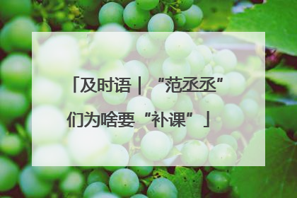 及时语｜“范丞丞”们为啥要“补课”