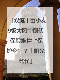 双流千亩小麦9级大风中倒伏 保险难撑“保护伞”？丨阳光帮忙