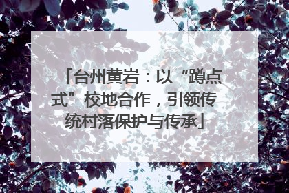 台州黄岩：以“蹲点式”校地合作，引领传统村落保护与传承