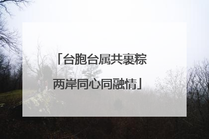 台胞台属共裹粽 两岸同心同融情