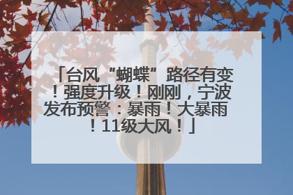 台风“蝴蝶”路径有变！强度升级！刚刚，宁波发布预警：暴雨！大暴雨！11级大风！