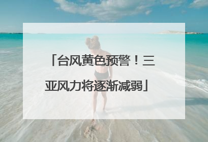 台风黄色预警！三亚风力将逐渐减弱