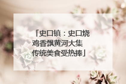 史口镇：史口烧鸡香飘黄河大集 传统美食受热捧