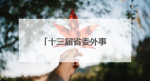 十三届省委外事工作委员会第三次全体会议召开