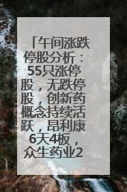 午间涨跌停股分析：55只涨停股，无跌停股，创新药概念持续活跃，昂利康6天4板，众生药业2连板