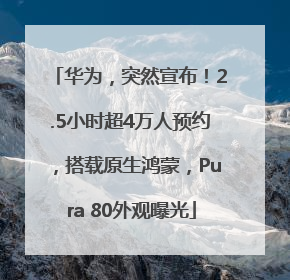 华为，突然宣布！2.5小时超4万人预约，搭载原生鸿蒙，Pura 80外观曝光