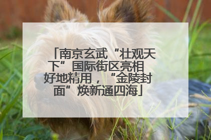 南京玄武“壮观天下”国际街区亮相 好地精用，“金陵封面”焕新通四海