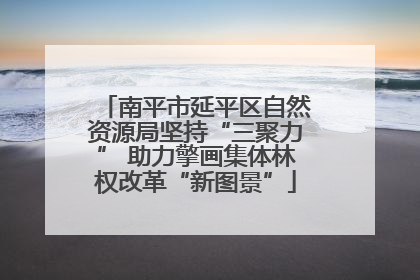 南平市延平区自然资源局坚持“三聚力” 助力擎画集体林权改革“新图景”