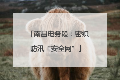 南昌电务段：密织防汛“安全网”