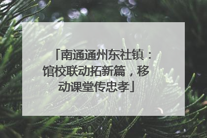 南通通州东社镇：馆校联动拓新篇，移动课堂传忠孝