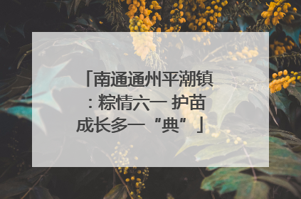 南通通州平潮镇：粽情六一 护苗成长多一“典”