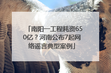 南阳一工程耗资650亿？河南公布7起网络谣言典型案例