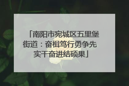 南阳市宛城区五里堡街道：奋楫笃行勇争先 实干奋进结硕果