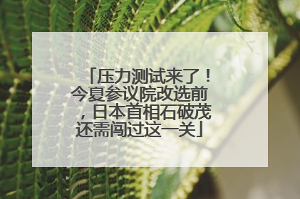 压力测试来了！今夏参议院改选前，日本首相石破茂还需闯过这一关