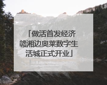 做活首发经济 赣湘边奥莱数字生活城正式开业