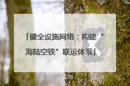 健全设施网络：构建“海陆空铁”联运体系