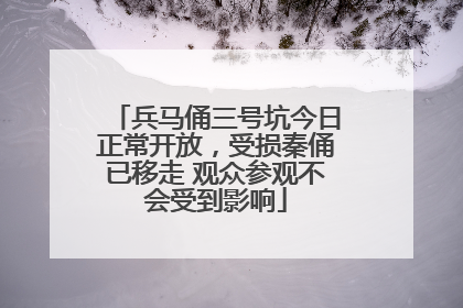 兵马俑三号坑今日正常开放，受损秦俑已移走 观众参观不会受到影响
