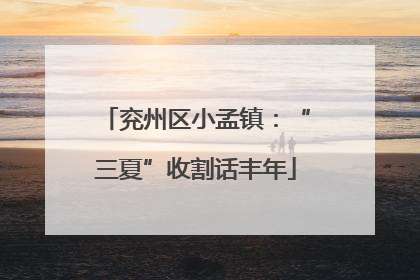 兖州区小孟镇：“三夏”收割话丰年