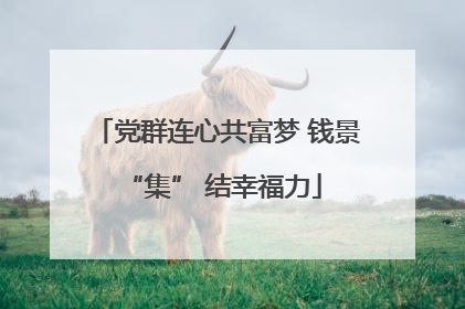 党群连心共富梦 钱景 “集” 结幸福力