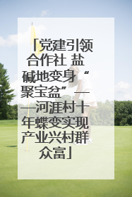 党建引领合作社 盐碱地变身“聚宝盆”——河涯村十年蝶变实现产业兴村群众富