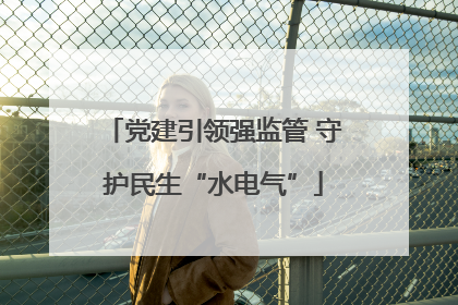 党建引领强监管 守护民生“水电气”