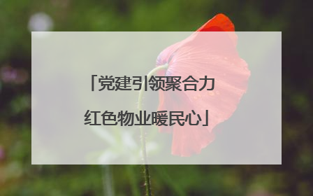 党建引领聚合力 红色物业暖民心