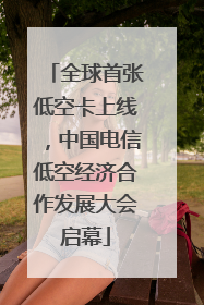 全球首张低空卡上线，中国电信低空经济合作发展大会启幕