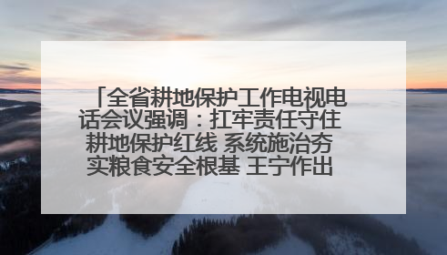 全省耕地保护工作电视电话会议强调：扛牢责任守住耕地保护红线 系统施治夯实粮食安全根基 王宁作出批示 王予波出席并讲话