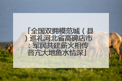 全国双拥模范城（县）巡礼河北省高碑店市：军民共建薪火相传 督亢大地鱼水情深