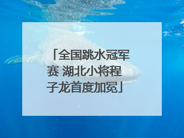 全国跳水冠军赛 湖北小将程子龙首度加冕