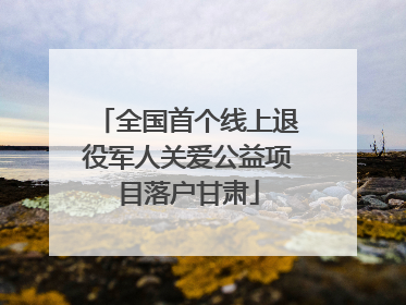 全国首个线上退役军人关爱公益项目落户甘肃