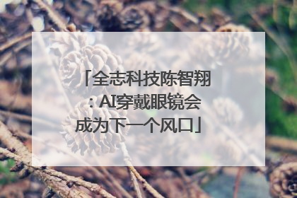 全志科技陈智翔：AI穿戴眼镜会成为下一个风口