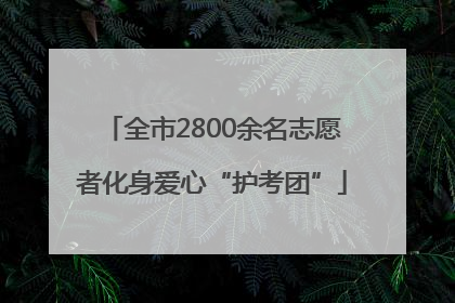全市2800余名志愿者化身爱心“护考团”