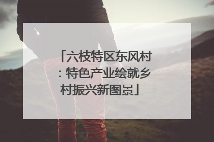 六枝特区东风村：特色产业绘就乡村振兴新图景
