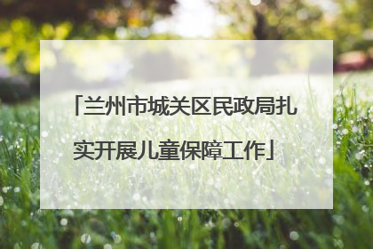 兰州市城关区民政局扎实开展儿童保障工作