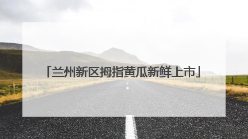 兰州新区拇指黄瓜新鲜上市
