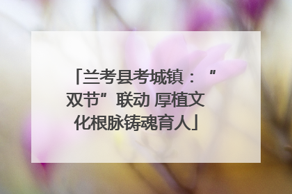 兰考县考城镇：“双节”联动 厚植文化根脉铸魂育人