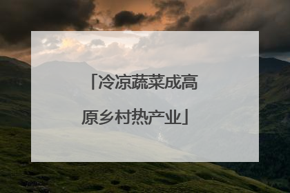 冷凉蔬菜成高原乡村热产业