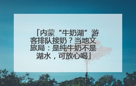 内蒙“牛奶湖”游客排队接奶？当地文旅局：是纯牛奶不是湖水，可放心喝