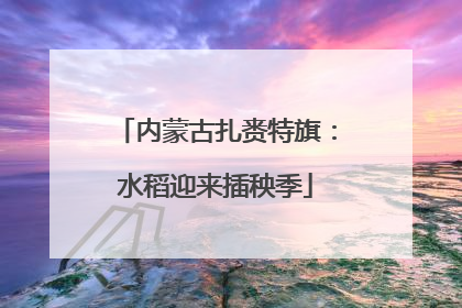 内蒙古扎赉特旗：水稻迎来插秧季