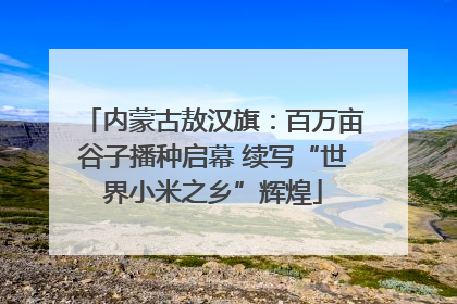 内蒙古敖汉旗：百万亩谷子播种启幕 续写“世界小米之乡”辉煌