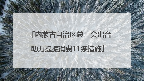 内蒙古自治区总工会出台助力提振消费11条措施