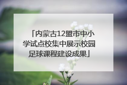 内蒙古12盟市中小学试点校集中展示校园足球课程建设成果